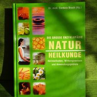 Die grosse Enzyklopädie Naturheilkunde (Dr. med. Cordula Bruch)