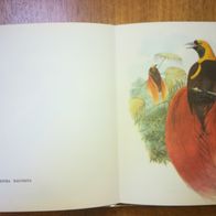 Paradiesvögel: Antiquarischer Bildband von Gerhard Joop (Westermann-Verlag, 1968)