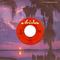 Spotnicks - Moonshot / Johnny Guitar - 7" - Ariola 10 380 AT (D) 1963