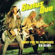 Status Quo - What You´re Proposing / AB Blues - 7" - Vertigo 6000 518 (NL) 1980