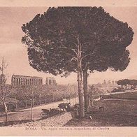 alte AK Italien - Roma - Via Appia nuova e Acquedotto di Claudia (5282)