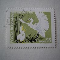 Rumänien Nr 2727 gestempelt