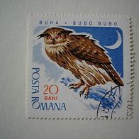 Rumänien Nr 2569 gestempelt