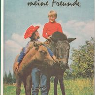 Pferde, meine Freunde von Kurt Knaak (Göttinger Gänseliesel Bücher) - sehr gut -