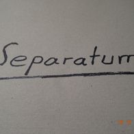 Umbriadinium mediterraneense gen. et sp. nov. and Valvaeodinium hirsutum sp. nov.:
