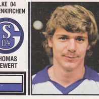 Schalke 04 Panini Sammelbild 1981 Thomas Siewert Bildnummer 150