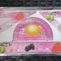 NEU Geometrie Set 4er pink Winkelmesser + Lineal + 2 Zeichendreiecke Motiv Flora