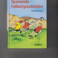 Spannende Fußballgeschichten