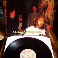 Gang Green (Skatepunk) - 12" Living loving maid (Led Zeppelin) - n. mint