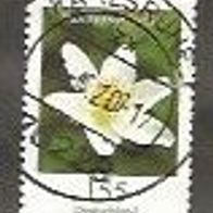 Briefmarke BRD: 2020 - 1,55 € - Michel Nr. 3472