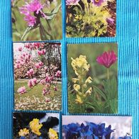 6 Ansichtskarten Postkarten alt Blumen Konvolut Lot gelaufen und ungelaufen