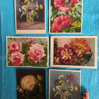 6 Postkarten Ansichtskarten Blumen Konvolut Lot alt