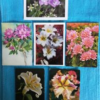 6 schöne Postkarten Ansichtskarten alt Blumen Konvolut Lot