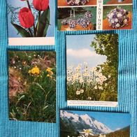 5 Postkarten Ansichtskarten alt Blumen Konvolut Lot gelaufen und ungelaufen