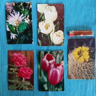 5 Postkarten Ansichtskarten alt Blumen Konvolut Lot Kleinformat ungelaufen