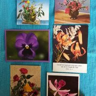 6 Stück Postkarten Ansichtskarten alt Blumen Konvolut Lot