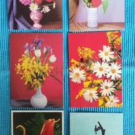 6 x Postkarten Ansichtskarten alt Blumen Konvolut Lot