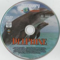 DVD - Delphine - Discovery Channel