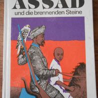 Assad & Die brennenden Steine" Jugendroman v. Herbert Friedrich / ab 11 Jahre !