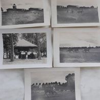 5 antiquarische Fotos ! Deutsches Reich ! Pferde-Rennbahn um 1910 ????