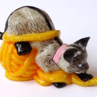 Verspielte Hauskatzen 2001 / Soraya + BPZ