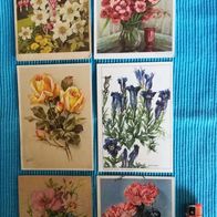 6 Ansichtskarten Postkarten alt Blumen Konvolut Lot 1 x von 1943 bunt