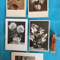 5 Ansichtskarten Postkarten alt Blumen 1 x von 1943 Konvolut Lot schwarz-weiß