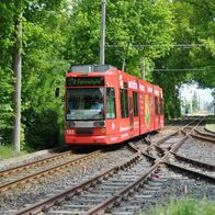 Foto Straßenbahn Brandenburg Tw 103 Mai 2011