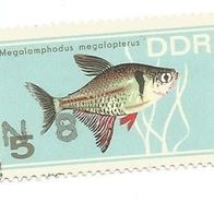 Briefmarke DDR: 1966 - 5 Pfennig - Michel Nr. 1221