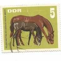 Briefmarke DDR: 1967 - 5 Pfennig - Michel Nr. 1302