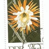 Briefmarke DDR: 1970 - 20 Pfennig - Michel Nr. 1628
