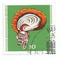 Briefmarke DDR: 1971 - 10 Pfennig - Michel Nr. 1632