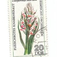Briefmarke DDR: 1976 - 20 Pfennig - Michel Nr. 2136