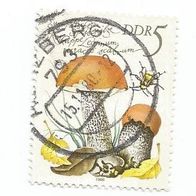 Briefmarke DDR: 1980 - 5 Pfennig - Michel Nr. 2551