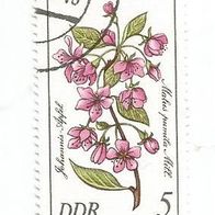 Briefmarke DDR: 1981 - 5 Pfennig - Michel Nr. 2573