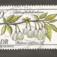 Briefmarke DDR: 1981 - 10 Pfennig - Michel Nr. 2574