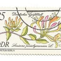 Briefmarke DDR: 1981 - 35 Pfennig - Michel Nr. 2577