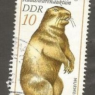 Briefmarke DDR: 1982 - 10 Pfennig - Michel Nr. 2677