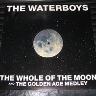 The Waterboys - The Whole Of The Moon 12" UK 1991