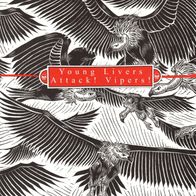 Attack Vipers / Young Livers - Split 7" (2008) Yo-Yo Records / US HC-Punk