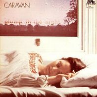Caravan - For Girls Who Grow Plump In The Night - 12" LP - Brain 1038 (D) 1973