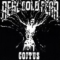 Coitus - Real cold fear 7" (1996) Inflammable Material Records / UK-Punk