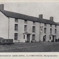 AK Wynnstay Arms Hotel, Llanbrynmair, Montgomeryshire s/ w