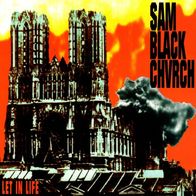 Sam Black Church - Let in life CD (1993) First Album / Taang Records / US Hardcore
