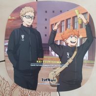 Haikyuu Set Button Sticker Aufkleber Hinata Tsukishima Anime Manga One fine day