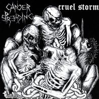 Cruel Storm / Cancer Spreading - Split 7" (2009) Nuclear Chaos / Italien Crust-Punk