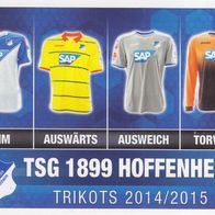 TSG Hoffenheim Topps Match Attax Trading Card 2014 Trikotkarte Nr. T9