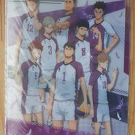 Haikyuu Clearfile Shiratorizawa Anime Ordner Mappe Din A4