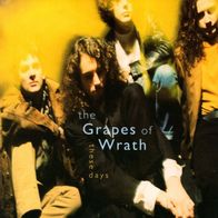 The Grapes Of Wrath - These Days CD (1991) Canada Alternative / Indie-Rock