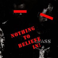 V/ A - Nothing To Believe In CD (Naked Aggression, Youth Gone Mad, The Meatmen)
